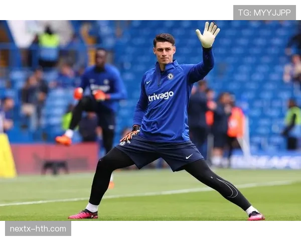 布莱顿战术升级,蓄力冲击欧战资格 布莱顿战术升级,蓄力冲击欧战资格